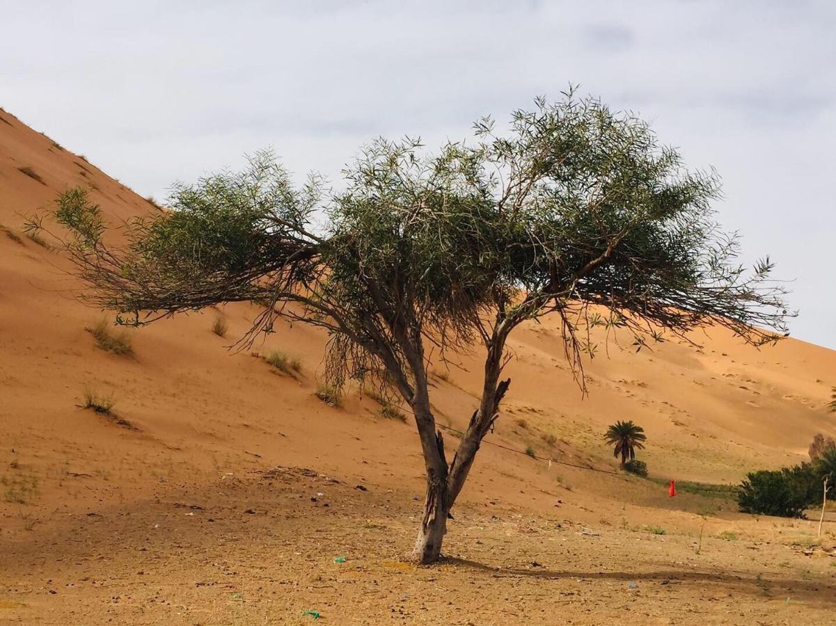 Erg Chebbi Stars Camp 梅尔祖卡 外观 照片